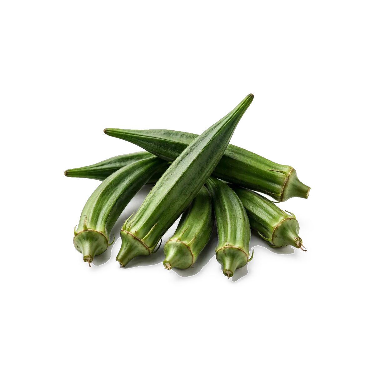 Okra