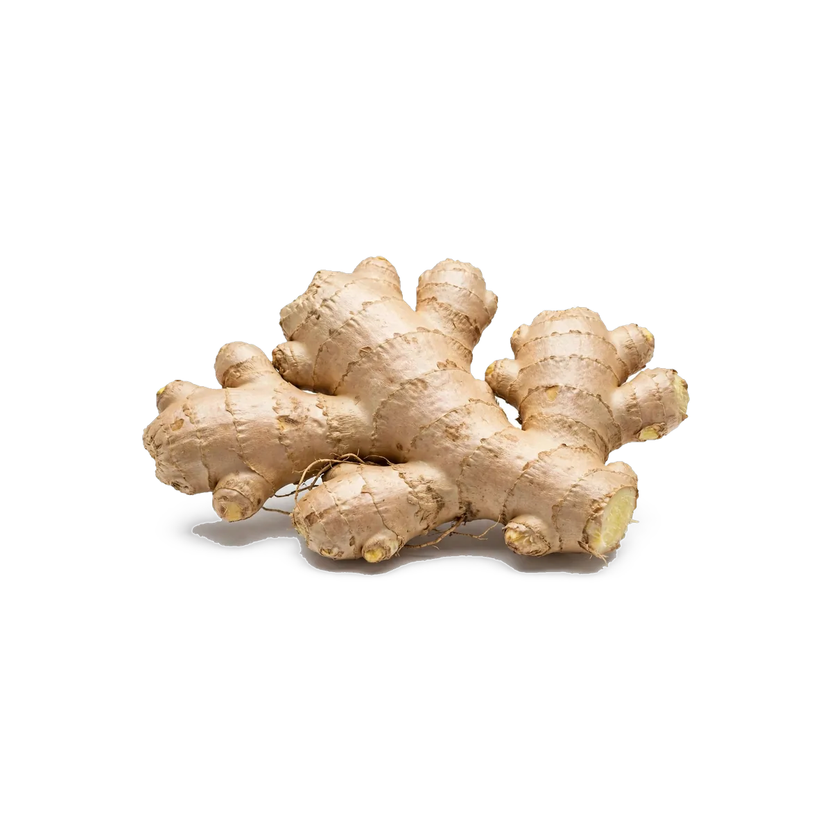 Ginger
